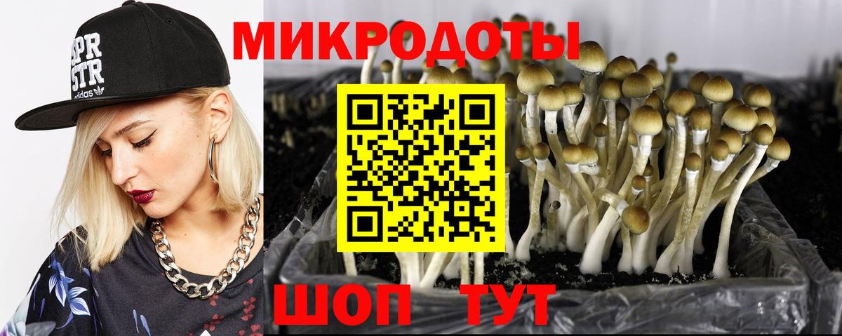 КОКАИН  ГАШ  Экстази  Кинель  LSD-25  Мефедрон   Вход с VPN  ГАШ  Конопля 